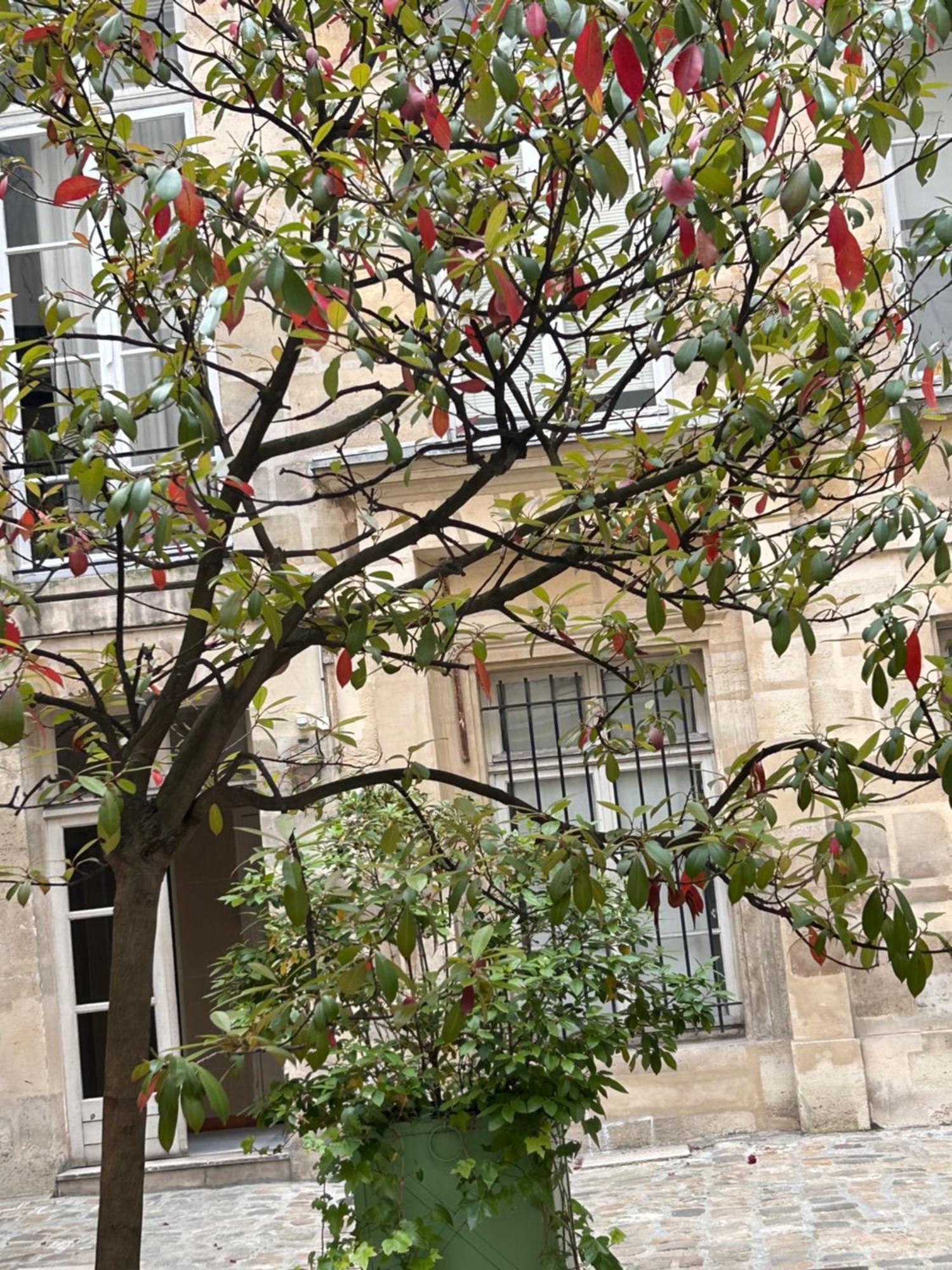 Rose Appartement Parijs